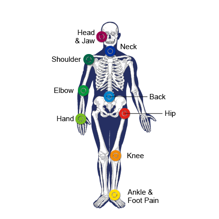 Human skeleton that links to pages