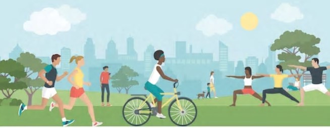 people in the park doing various physical activity