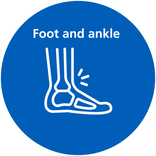 A blue circle with white text which reads 'Foot and ankle' and a white icon.
