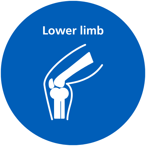 A blue circle with white text which reads 'Lower Limb' and a white icon.