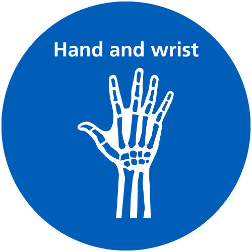 A blue circle with white text which reads 'Hand and wrist' and a white icon.