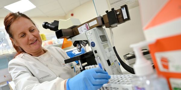 A microbiologist in a lab looking through a microscope