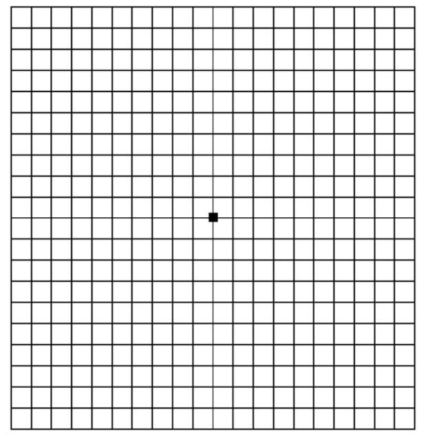 A square chart, which is 20 by 20.