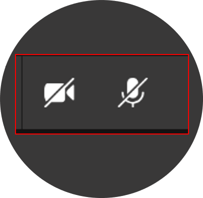 Camera and Microphone icon with a vertical line going through both.