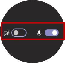 A video and microphone icon with a toggle button next to each of them.