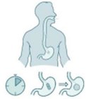 A diagram of a person's stomach