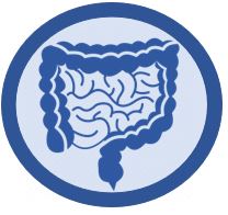 Bowel image