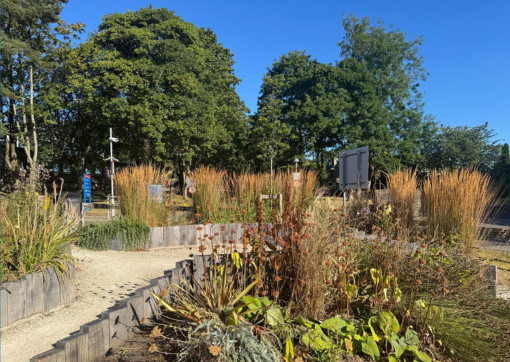 A shot of one angle of our wellbeing garden