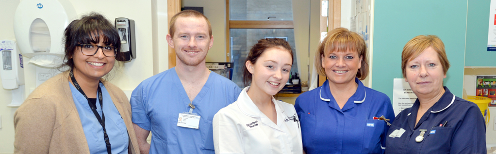 Nurse Team Nurse Team